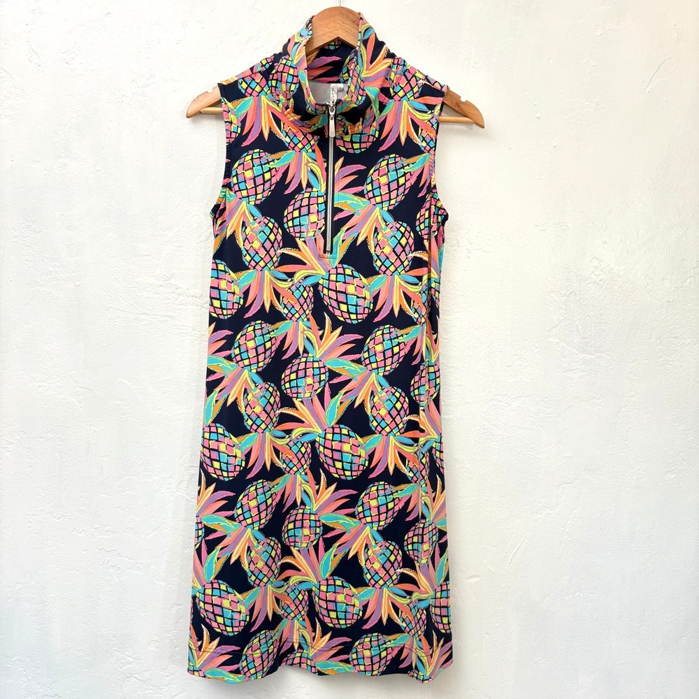 Lulu B Swing Dress Women Size Small Blue Pink Pineapple Sleeveless UPF 50